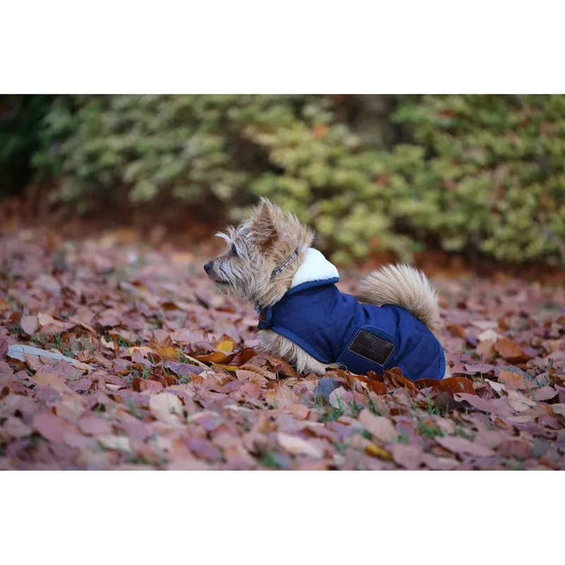 Kentucky Dog Coat- Navy